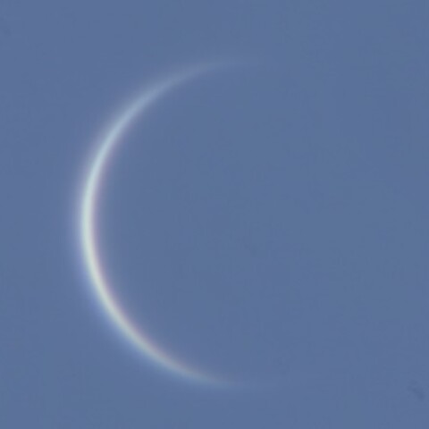 金星 5/30