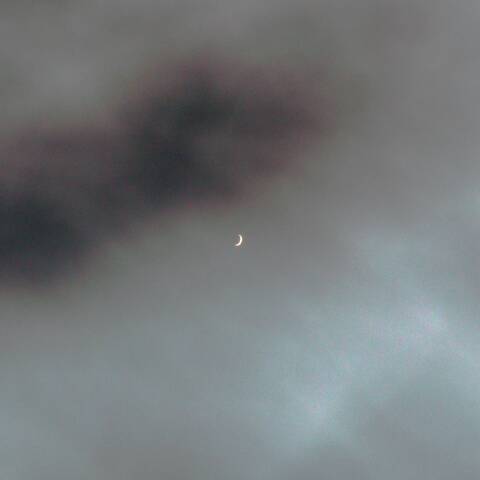 枝の隙間の金星 12/23