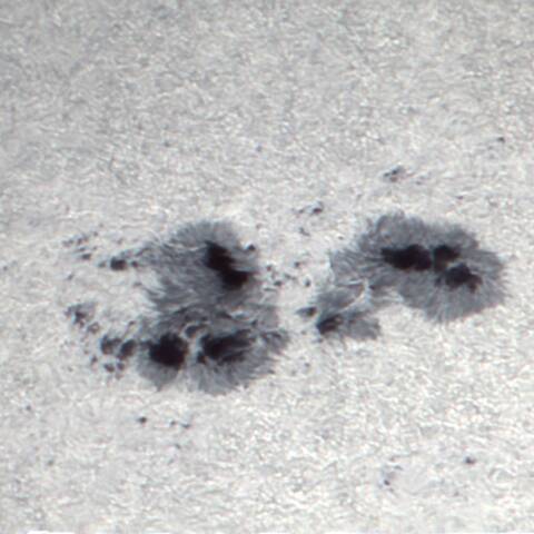 太陽黒点 (3014) 5/19