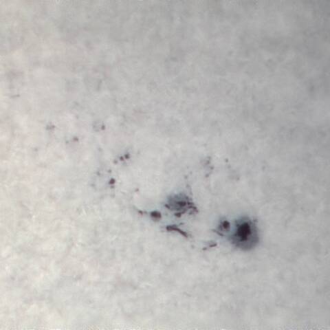 太陽黒点（3017）  5/23