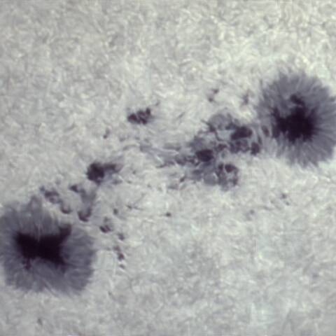 太陽黒点（3055） 7/10