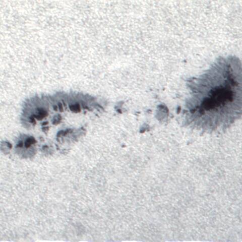 太陽黒点（3055） 7/13