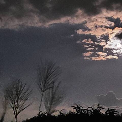 中秋の名月と木星 9/10