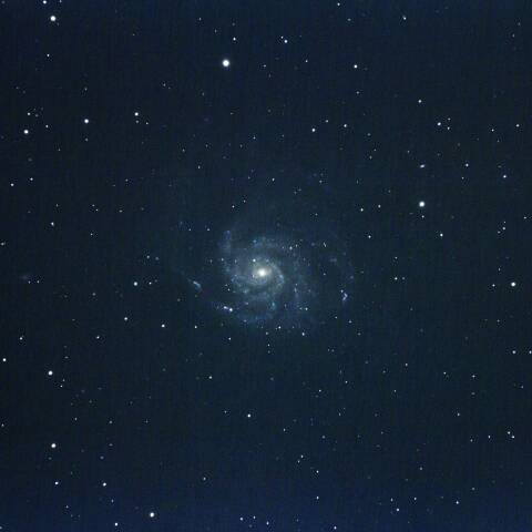 特集 2023年5月～ M101の超新星2023ixf - 天体写真ギャラリー