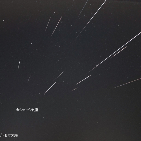 2024ペルセウス座流星群