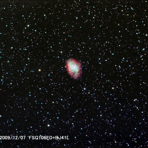 忘年会は「蟹」