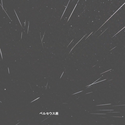 2026ペルセウス座流星群