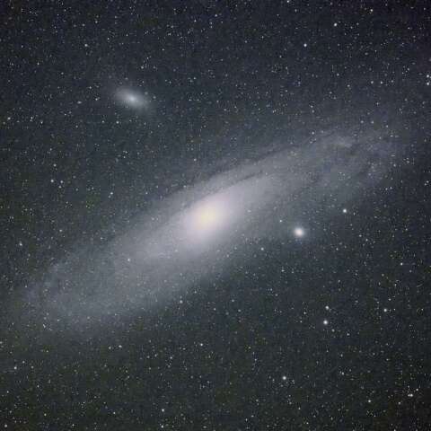 M31