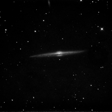 NGC4565
