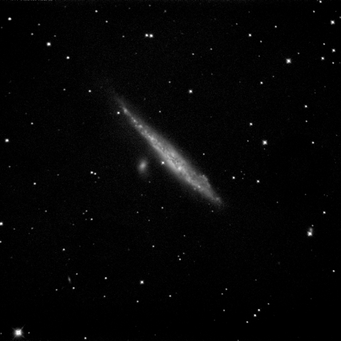NGC4631