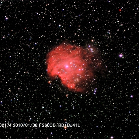 モンキー星雲？