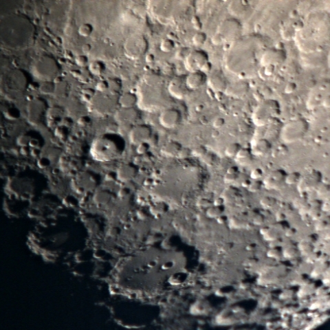 テイコとその仲間