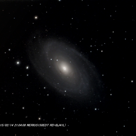 M81