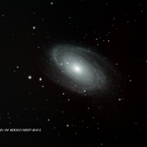 M81