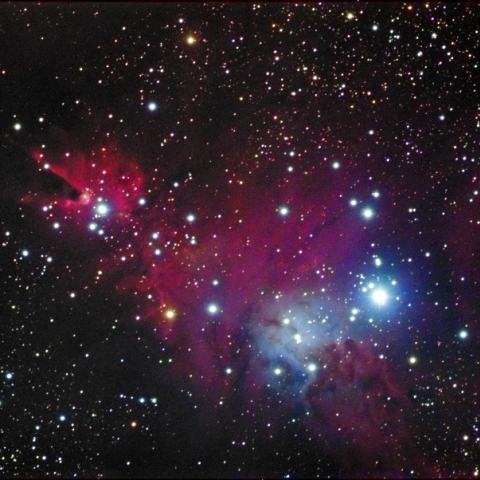 コーン星雲からクリスマスツリー