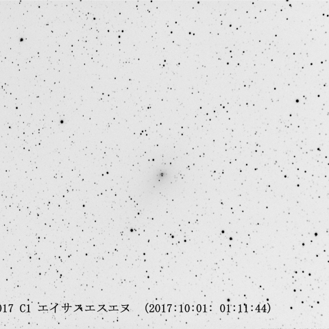 C/2017 O1 エイサスエスエヌ