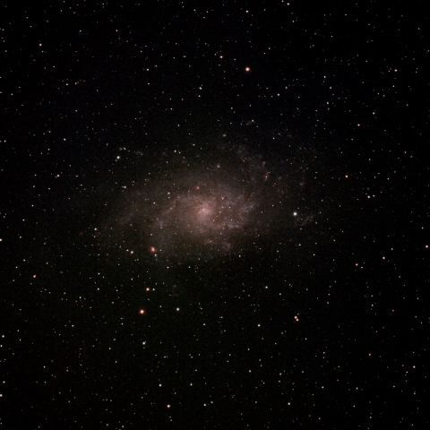 M33