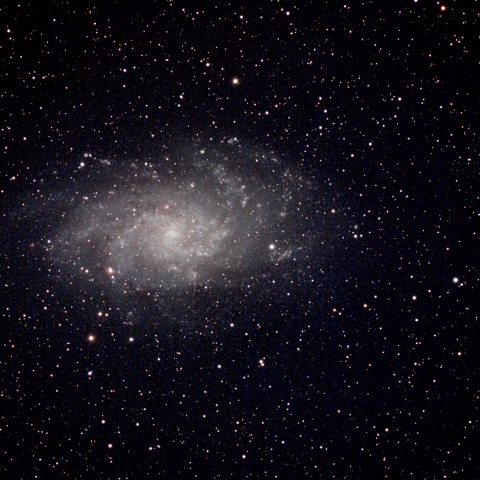 M33