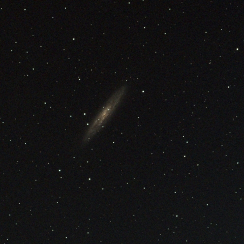 NGC253