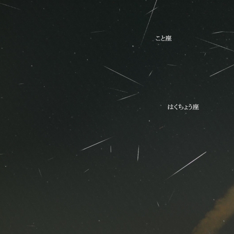 7月28日夜の散在流星