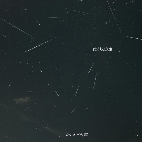 8月4日夜の散在流星