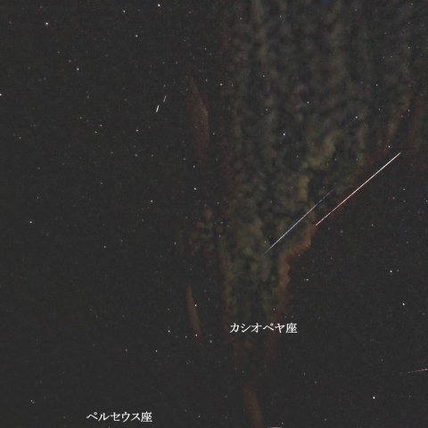 8月9日のペルセウス座流星群