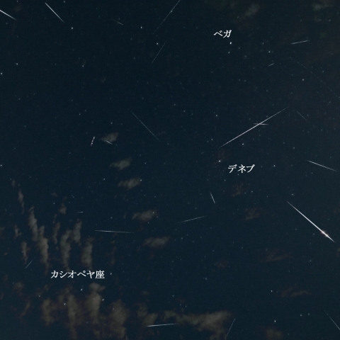 8月20日夜の散在流星