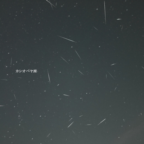 10月09日夜の散在流星