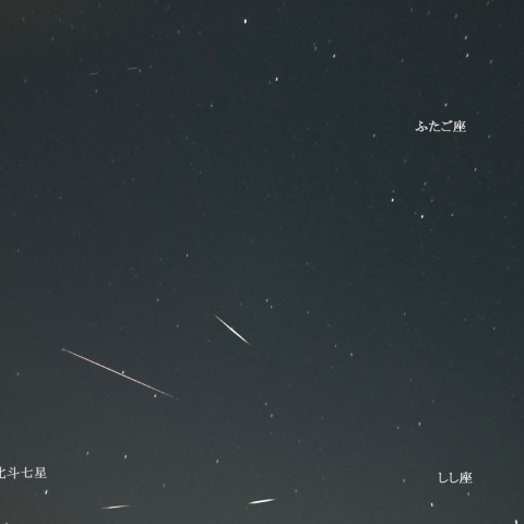 2021年11月17日　「しし座流星群」