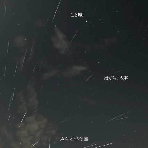 2022ペルセウス座流星群