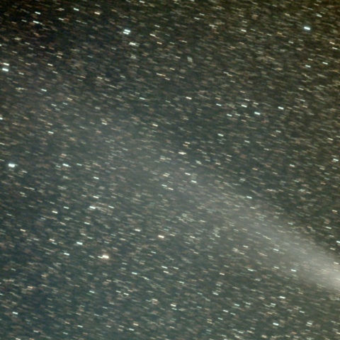 紫金山・アトラス彗星(C/2023 A3)　11/07