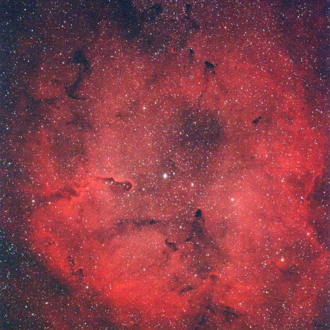 IC1396
