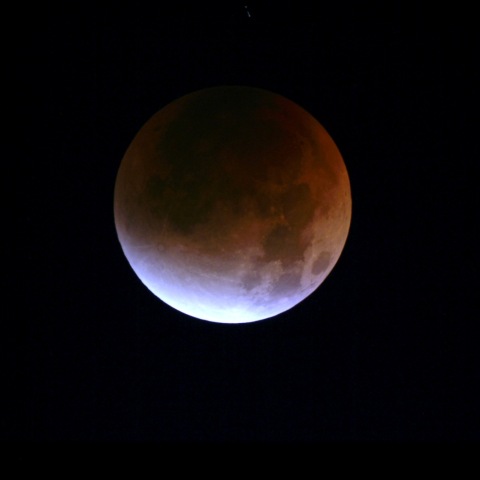 ターコイズフリンジ　2025.09.08