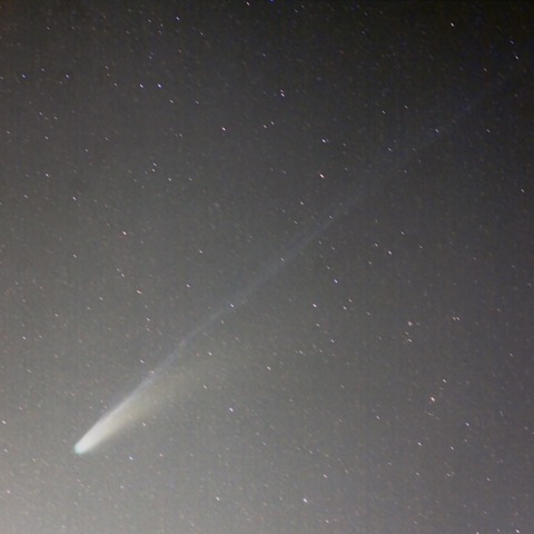 レモン彗星 C/2025 A6(2025.10.28)