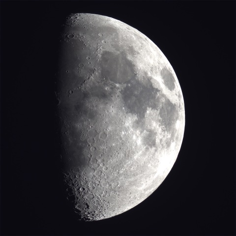 月齢8.8 2025.11.29