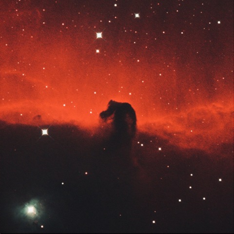 馬頭星雲 2026.01.16