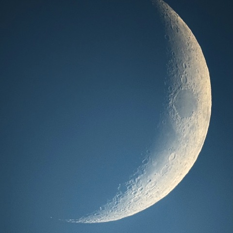 月 月齢3.7