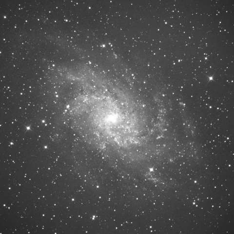 M33