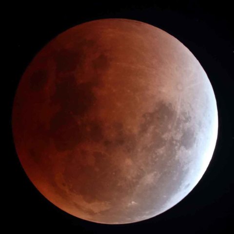 ターコイズフリンジ