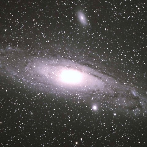 M31