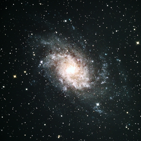 M33