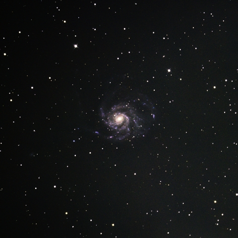 M101