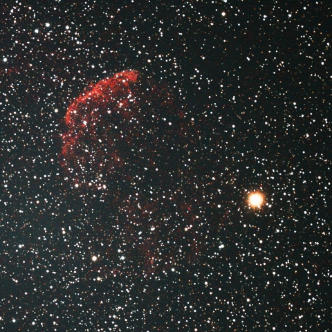 IC443
