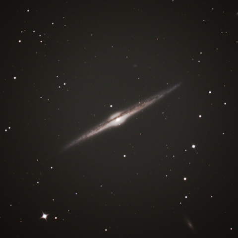 NGC4565