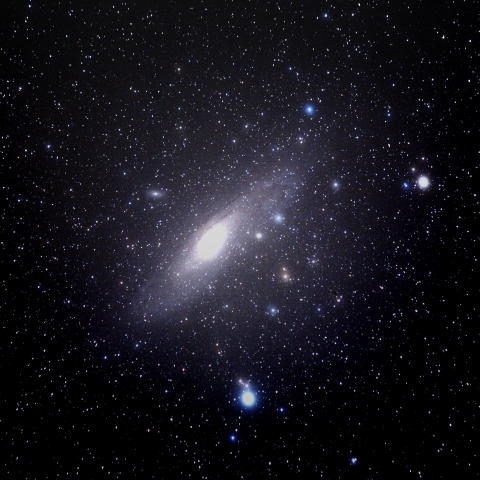 M31
