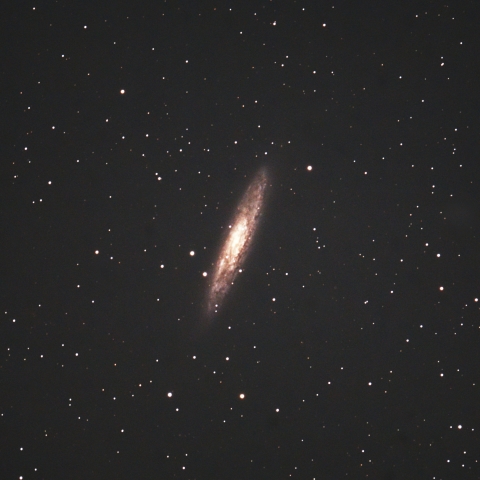 NGC253