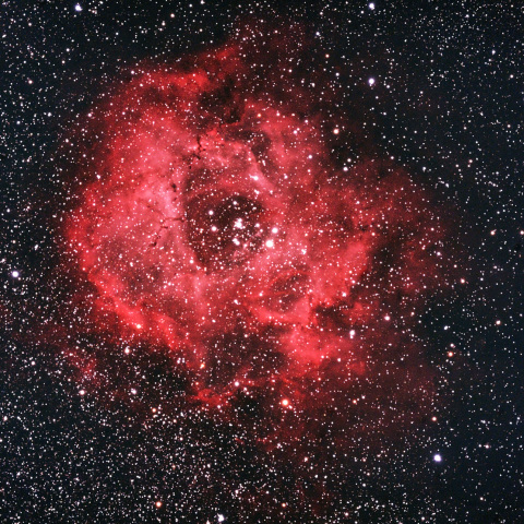 NGC2237-9