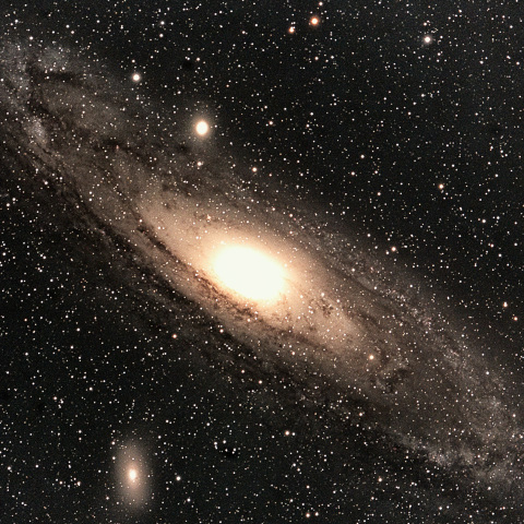 M31