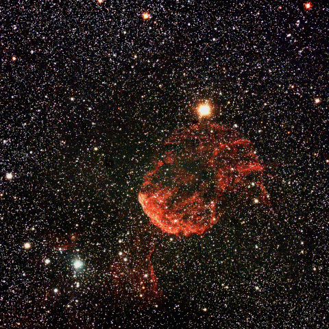 IC443