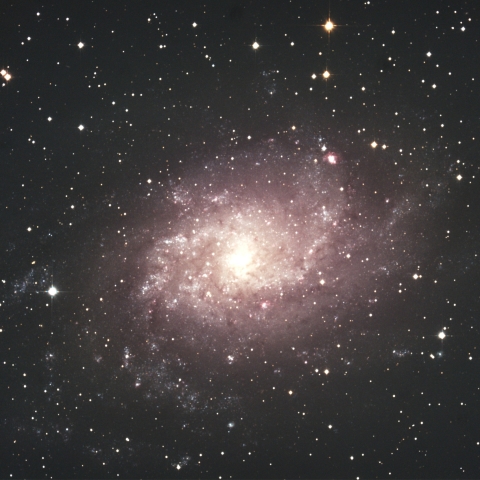 M33